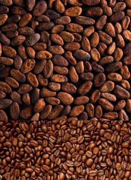 Cacao & café — photographie de la brochure Matcoen